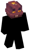 Skinfile
