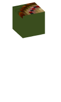 Skinfile