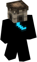 Skinfile