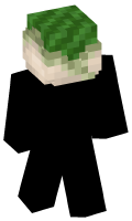 Skinfile