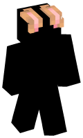 Skinfile