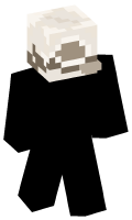 Skinfile