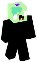 Skinfile