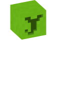 Skinfile