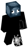 Skinfile
