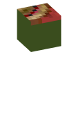 Skinfile