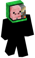 Skinfile