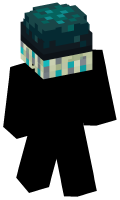 Skinfile