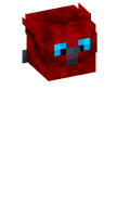 Skinfile