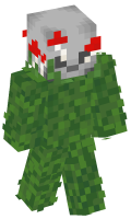 Skinfile