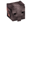 Skinfile