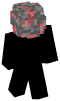 Skinfile