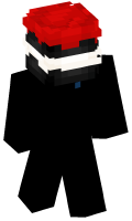 Skinfile