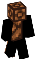 Skinfile