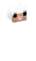 Skinfile