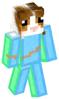 Skinfile