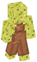 Skinfile