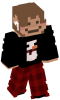 Skinfile