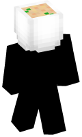 Skinfile
