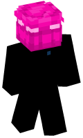 Skinfile