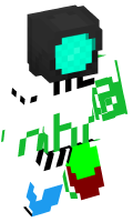Skinfile