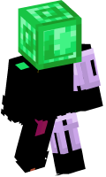 Skinfile
