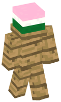 Skinfile