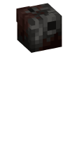 Skinfile