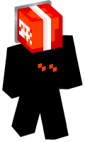 Skinfile
