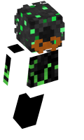Skinfile