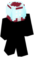 Skinfile