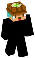 Skinfile