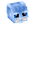 Skinfile