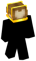 Skinfile
