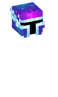 Skinfile