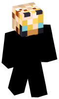 Skinfile