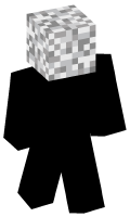 Skinfile