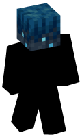 Skinfile