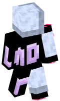 Skinfile