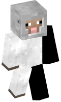Skinfile