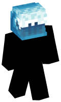 Skinfile