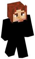 Skinfile