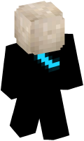 Skinfile