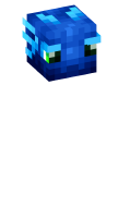 Skinfile