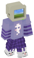 Skinfile