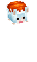 Skinfile