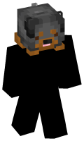 Skinfile