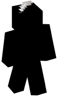 Skinfile