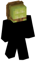Skinfile