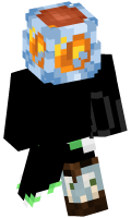 Skinfile